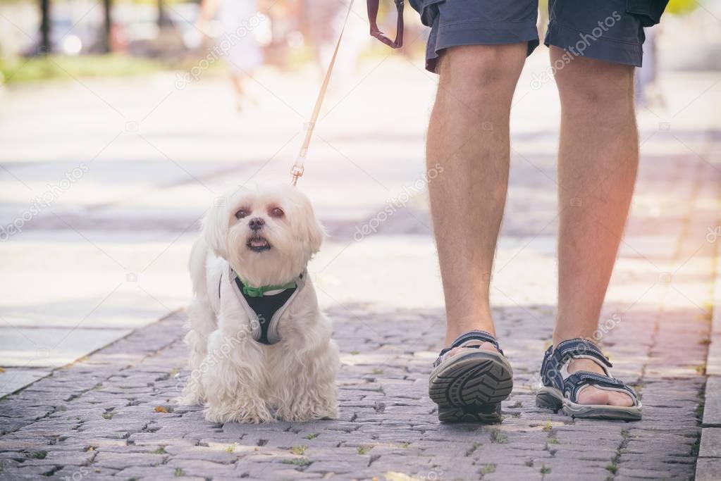 Man walking with dog