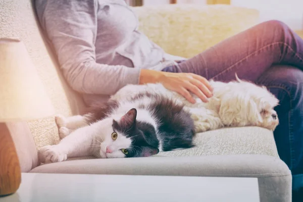 Femme avec ses animaux de compagnie — Photo