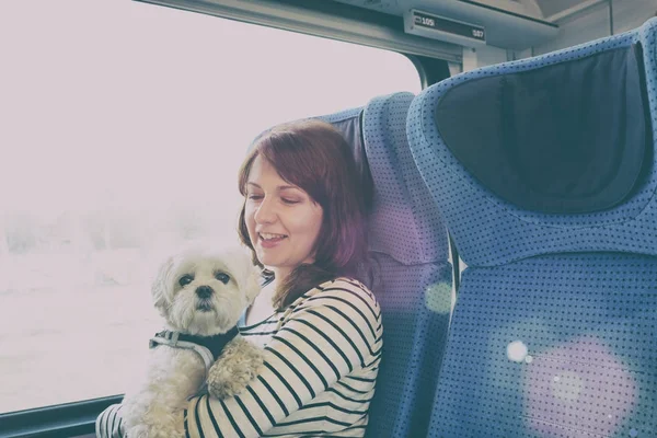 Trenle seyahat köpek — Stok fotoğraf