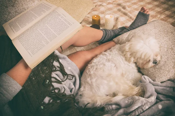 Женщина лежит на кровати с собакой — стоковое фото