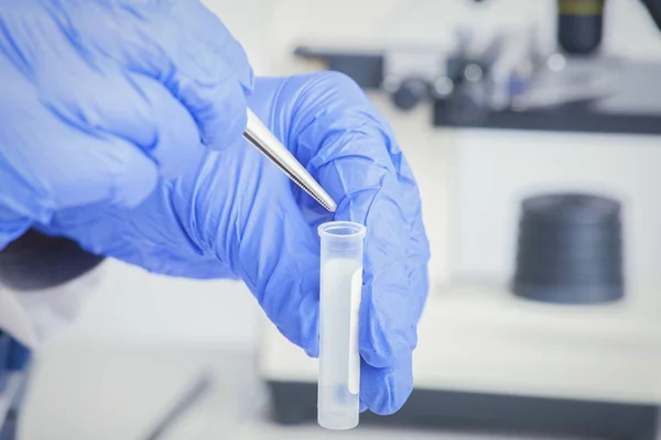 Scientist with a test tube working at the laboratory — Stock Photo, Image