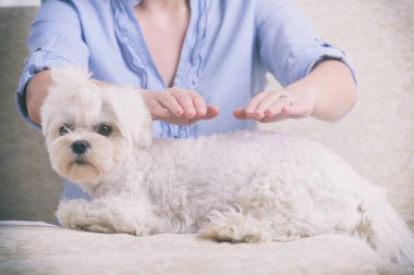 Reiki terapi pratiği kadın