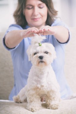 Reiki terapi pratiği kadın