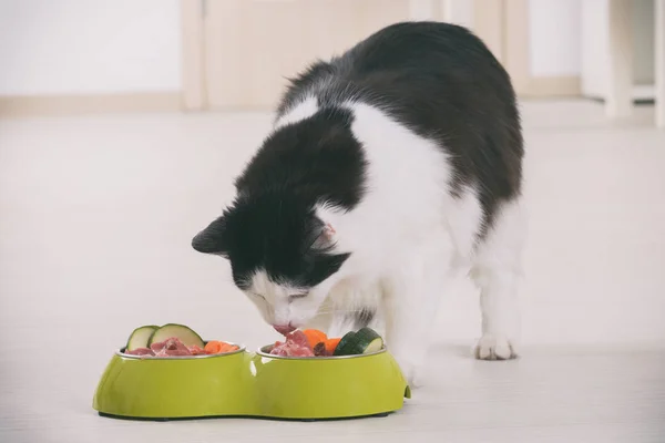 Pisica mănâncă alimente naturale dintr-un castron — Fotografie, imagine de stoc