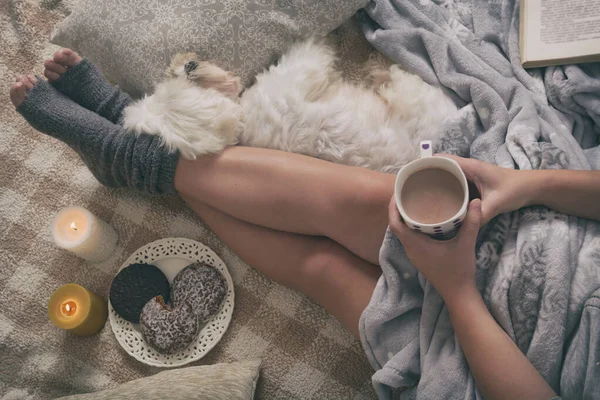 Mujer Con Galletas Jengibre Dulce Libro Bebida Caliente Lindo Perro — Foto de Stock