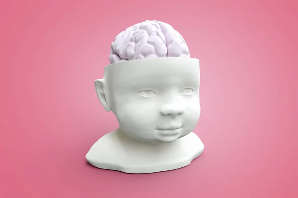 Modell För Barnets Huvud Och Hjärna Konceptuell Illustration Som Kan — Stockfoto