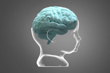 Model of the child's head and brain. Conceptual 3d illustration that can be used in many fields of science and medicine clipart
