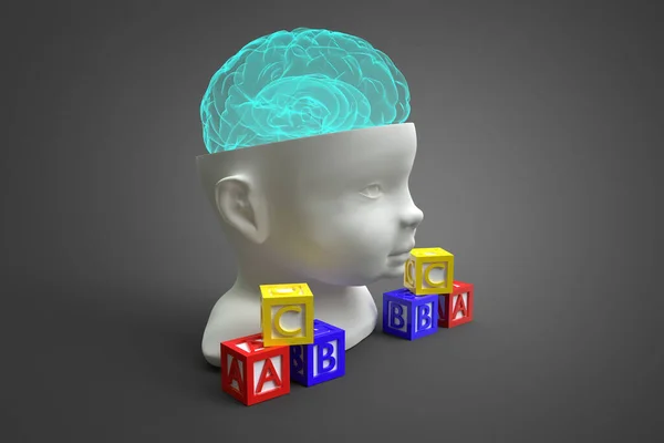 Model Child Head Brain Conceptual Illustration Can Used Many Fields — Stock Photo, Image