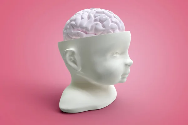 Illustration Mänsklig Hjärna Över Rosa Bakgrund Med Mjuk Skugga — Stockfoto