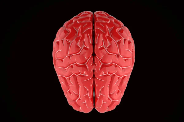 Illustrazione Del Cervello Umano Rosso Sfondo Nero — Foto Stock