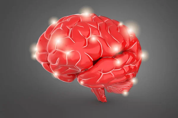 Ilustrace Lidského Mozku Tmavém Pozadí Měkkým Stínem — Stock fotografie
