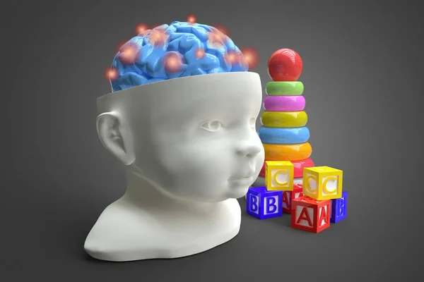 Μοντέλο Του Κεφαλιού Και Του Εγκεφάλου Του Παιδιού Εννοιολογική Τρισδιάστατη — Φωτογραφία Αρχείου