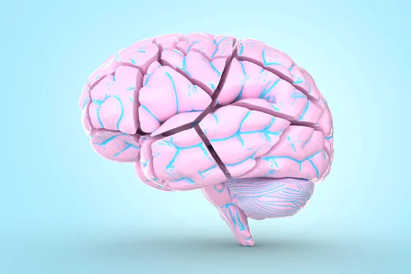 Rozbitý Mozek Konceptuální Ilustrace Užitečná Pro Vizualizaci Onemocnění Mozku — Stock fotografie