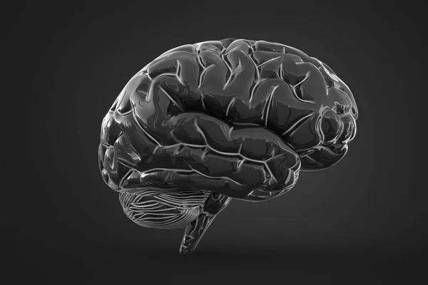 Ilustración Del Cerebro Humano Sobre Fondo Oscuro Con Sombra Suave — Foto de Stock