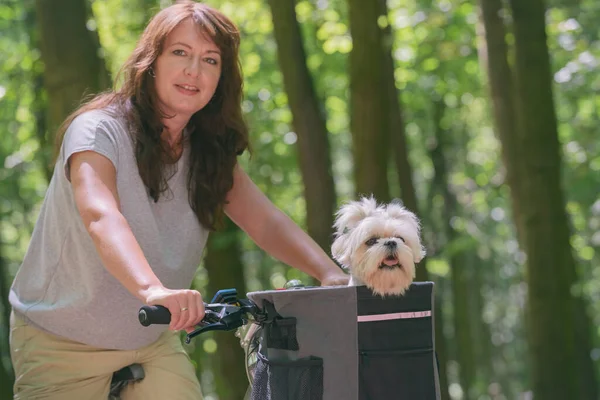 Vacker Mogen Kvinna Rida Cykel Med Hennes Husdjur Maltesiska Hund — Stockfoto