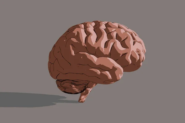 Ilustración Del Cerebro Humano Sobre Fondo Oscuro Con — Foto de Stock