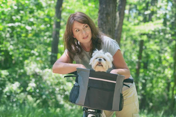 Mooie Volwassen Vrouw Rijden Een Fiets Met Haar Huisdier Maltese — Stockfoto