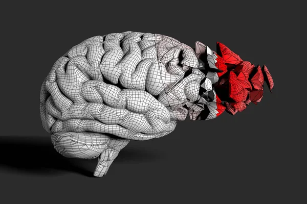 Cervello Frantumato Ricoperto Rete Illustrazione Concettuale Utile Visualizzare Malattie Cerebrali — Foto Stock