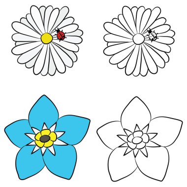 Papatya ve unutma düz çizimler vektör