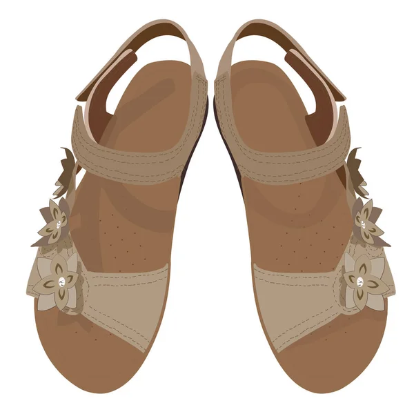 Vector Light Brown Sandals, Vista de cima — Vetor de Stock