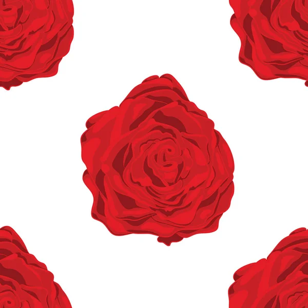 Διάνυσμα μοτίβο από κόκκινα τριαντάφυλλα σε λευκό φόντο — Διανυσματικό Αρχείο