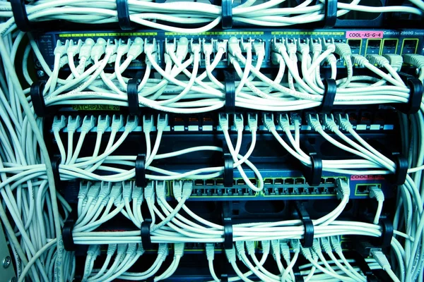 IT Network server patch cables