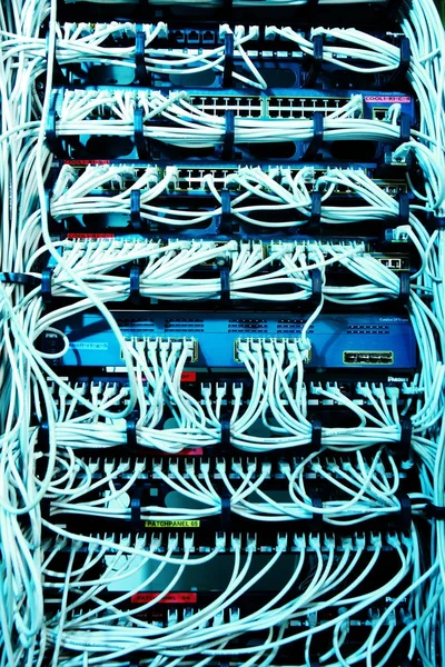 IT Network server patch cables