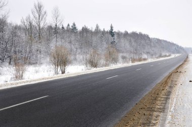 karla kaplı orman yoluyla yol.