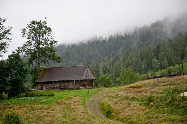 Rumah kayu di pegunungan. Kabut pagi — Stok Foto