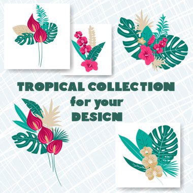 Soyut tropik koleksiyon. Tropik egzotik vektör çiçekleri ve yaprakları. Çiçek illüstrasyonunu ayarla. Davet için koleksiyon
