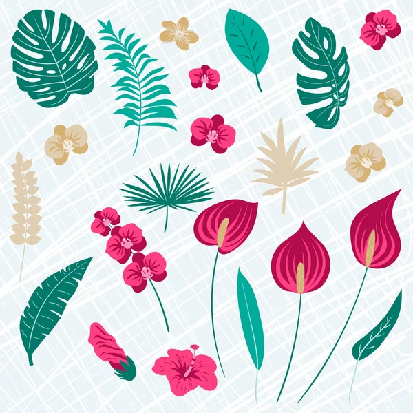 Abstrakcyjna Kolekcja Tropików Tropikalne Egzotyczne Kwiaty Wektorowe Liście Ustaw Ilustrację — Wektor stockowy