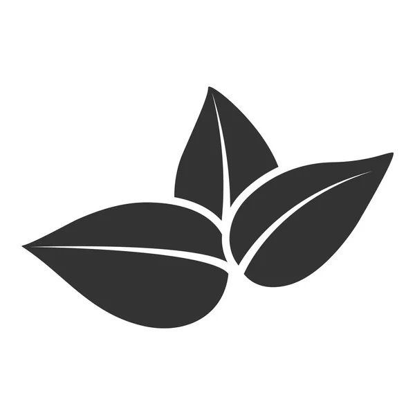 Vektor stylizované silueta tea tree jaro listů izolovaných na bílém pozadí. Eco značka, popis přírody. Dekorativní prvek pro lékařské, environmentální značky. — Stockový vektor