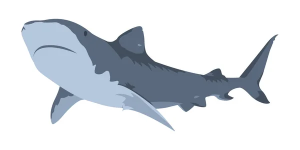 Icono de tiburón. Rendimiento minimalista. Ilustración vectorial aislada sobre fondo blanco . — Archivo Imágenes Vectoriales