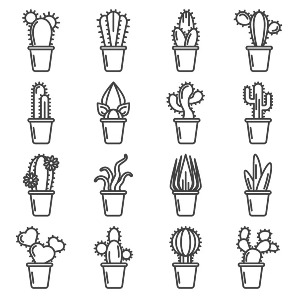 Cactus icons set. A simple linear image of various varieties of cacti in pots. Isolated vector on a white background. — Stock Vector