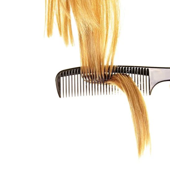 Salon Ayant Peigne Coupe Cheveux — Photo