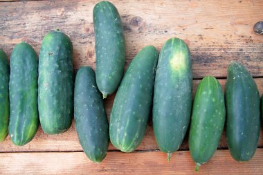 ahşap zemin üzerine salatalık