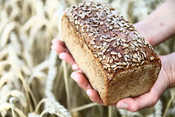 wheat for making bread stock photo stock image