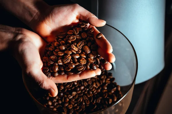 Coffee beans in the palms