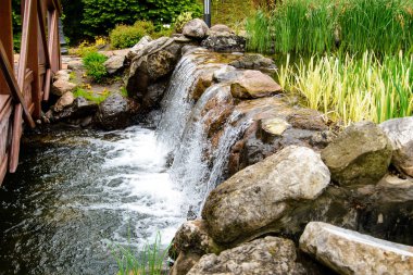 Peyzaj tasarımı. Dekoratif ördek
