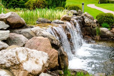 Peyzaj tasarımı. Dekoratif ördek