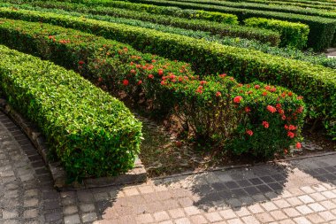 Peyzaj tasarımı. Park Tayland