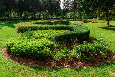 Peyzaj tasarımı. Park Tayland