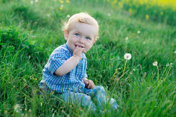 草の上に座っている元気な子少年 — ストック写真