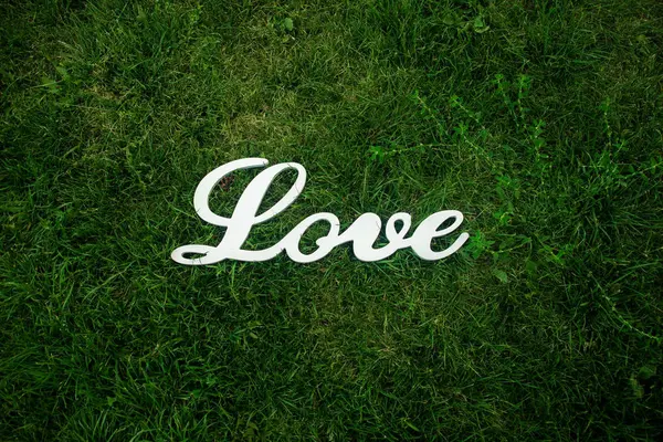 The word love in the green grass — Stock Photo, Image