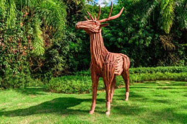 Peyzaj tasarımı. Tayland 'da park et. Tahta bir geyik heykeli.