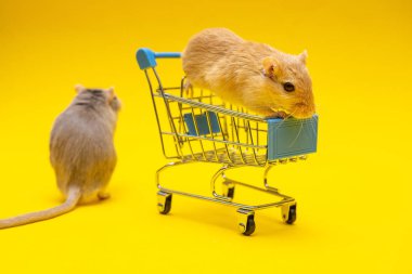 Sarı arka planda alışveriş arabası olan iki sıçan.