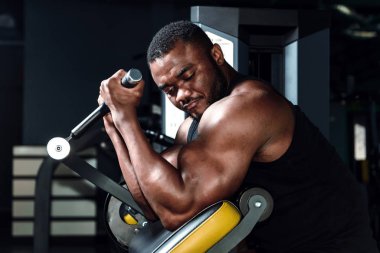 Erkek sporcu, vücut geliştirici, spor salonunda çalışıyor..