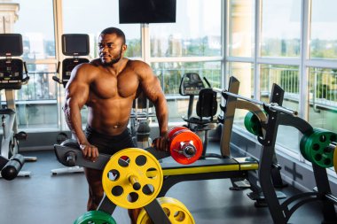Erkek sporcu, vücut geliştirici, spor salonunda çalışıyor..