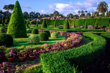 Tropikal bir bahçede manzara tasarımı
