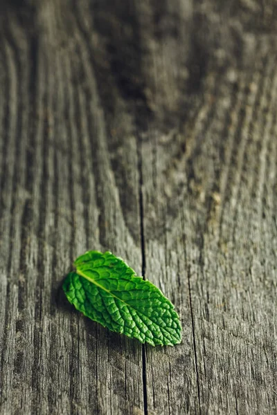 Zelený mátový list na dřevěný stůl — Stock fotografie